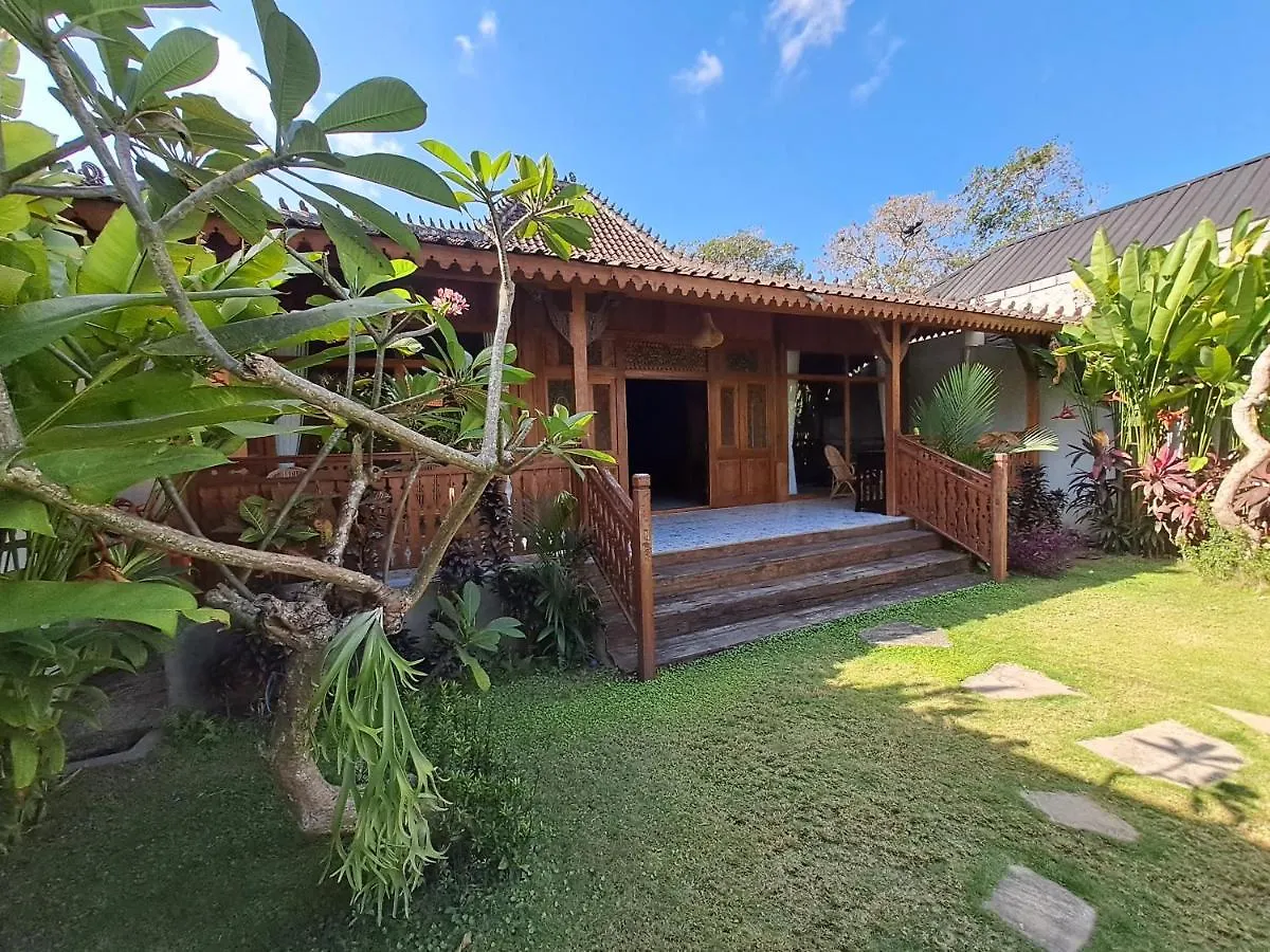 Xxl Villa Seminyak - Man Only 印尼