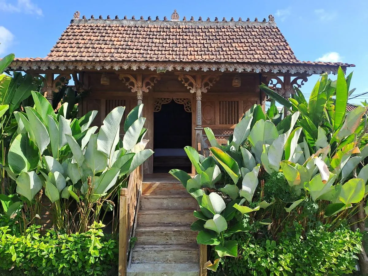 Xxl Villa Seminyak - Man Only 假日公园 塞米亚克